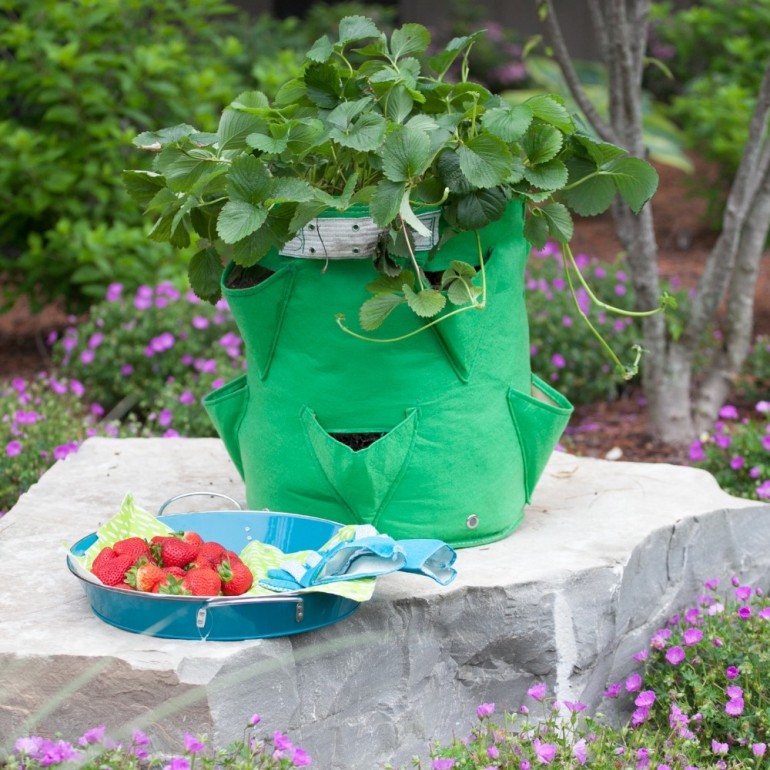 Vaso per Fragole in tessuto BloemBagz, da 35 litri