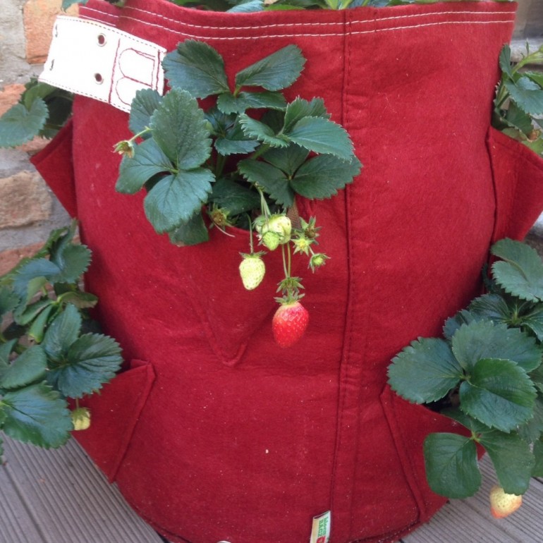 Vaso per Fragole in tessuto BloemBagz, da 35 litri