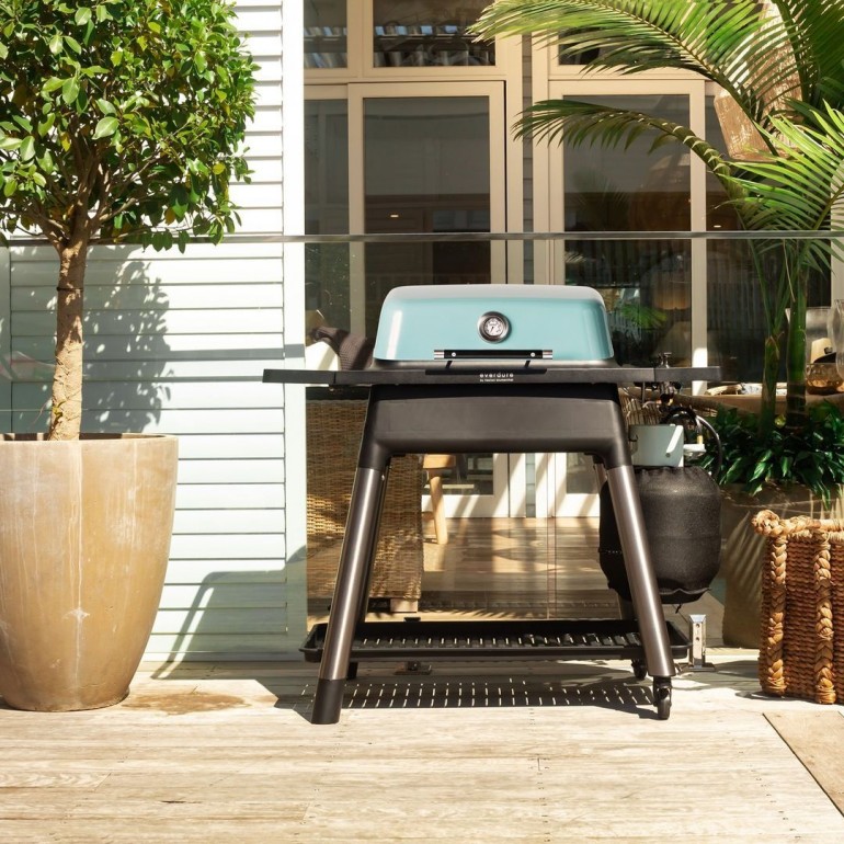 Barbecue a Gas FORCE™ di Everdure by Heston Blumenthal a 2 bruciatori con ruote