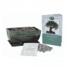 Kit Coltivazione Bonsai "Ulivo", con vaso, terriccio, scaglie di ardesia e semi