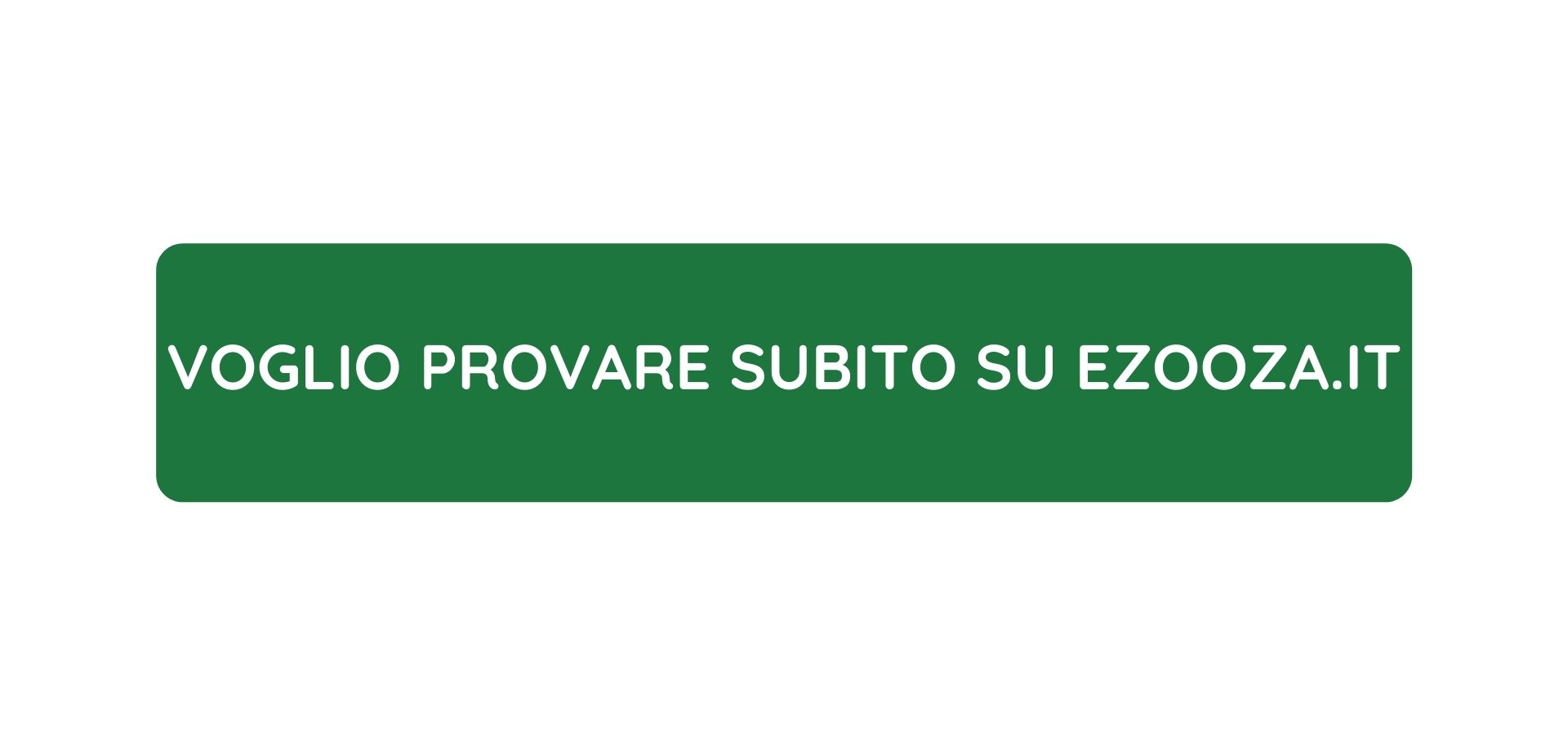 banner ezooza (4).jpg